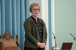 Framtíð framtíðarnefndar er í óvissu.
