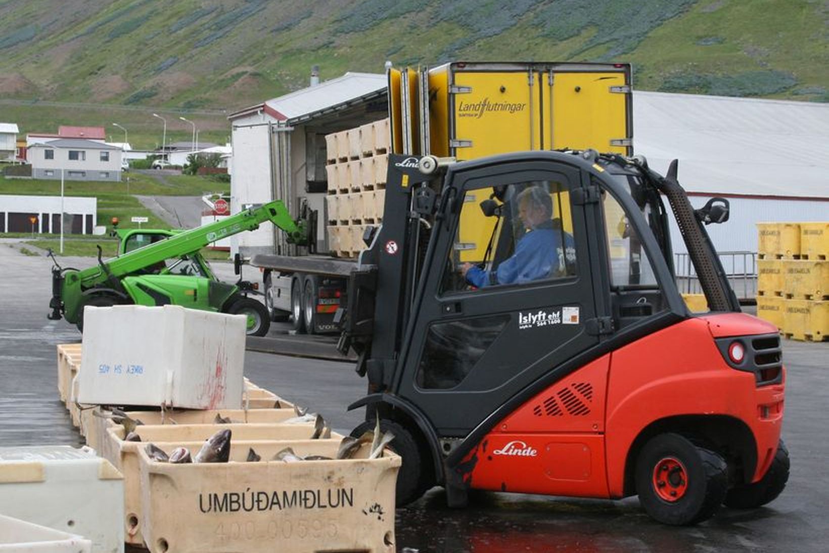 Lönduðum afla staflað á flutningabíl í Bolungarvík.