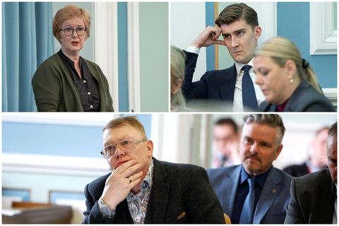 Jón Gnarr er formaður nefndarinnar og Snorri er varaformaður.