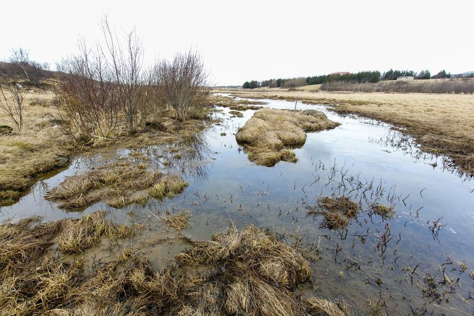 Hraunholtslækur í Garðabæ