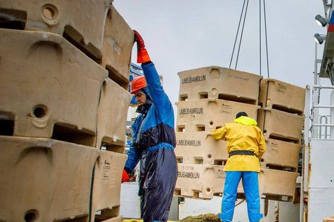 Hvert kíló af þorski, ýsu og ufsa skilar Íslendingum mun meira en Norðmönnum þar sem …