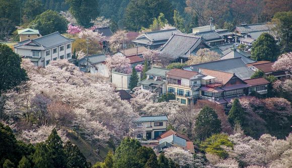 Ekki missa af þessu í Japan