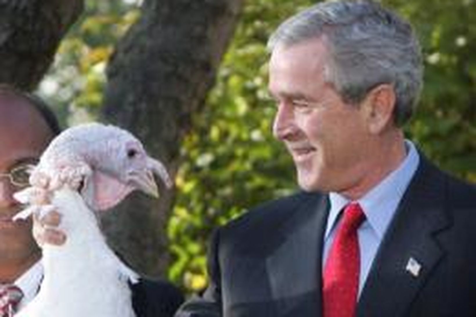 George W. Bush horfist í augu við kalkúninn Brauð í …