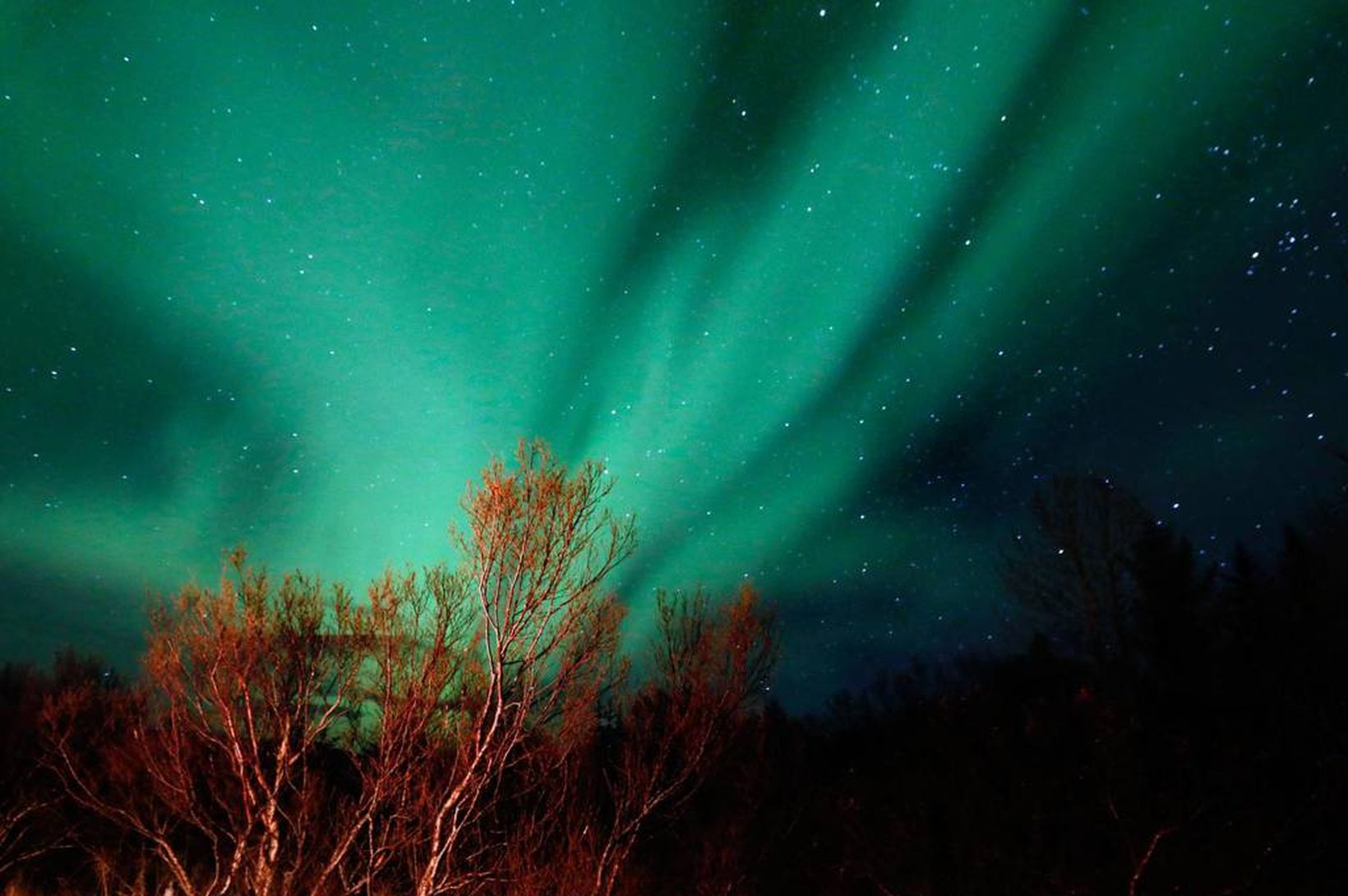 Líkur á norðurljósadýrð á gamlárskvöld