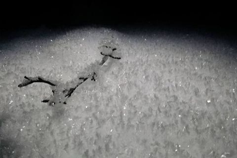 Ice crystals on snow in Tungnadalur, Ísafjörður.