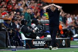 Ange Postecoglou á hliðarlínunni í úrslitaleiknum.