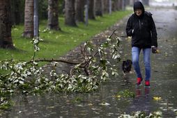 Fyrstu haustlægðirnar eru væntanlegar á færibandi.