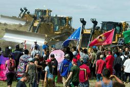 Frumbyggjar stöðva jarðýtur sem vinna við Dakota Access-olíuleiðsluna í Norður-Dakóta.