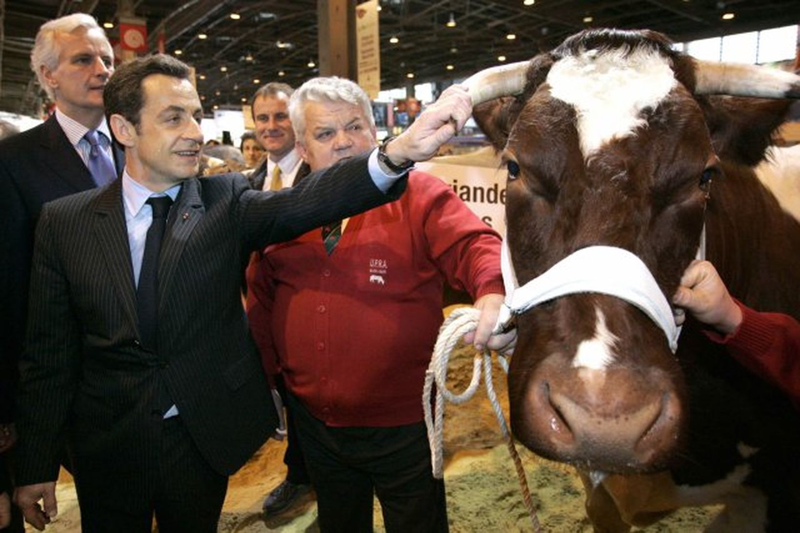 Nicolas Sarkozy sést hér strjúka nauti á landbúnaðarsýningunni í dag.