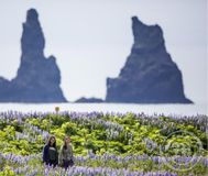 Erlendir ferðamenn við Víkurfjöru í Mýrdal