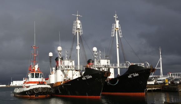 Hvalskip komin í höfn í Reykjavík