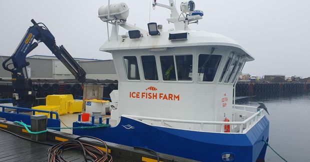 Lang stærsta fiskeldisfyrirtækið á Austfjörðum, Ice Fish Farm, stenfir á skráningu í íslensku kauphöllina.