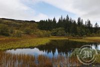 Þingvellir - Haustlitir