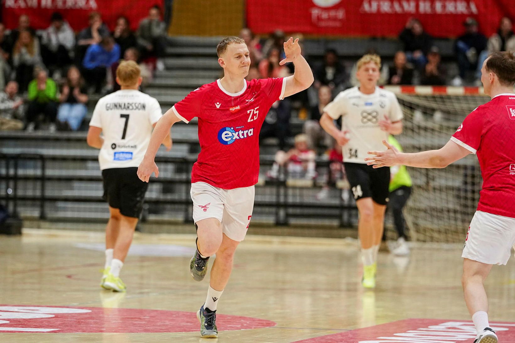 FH - Valur, staðan er 19:15