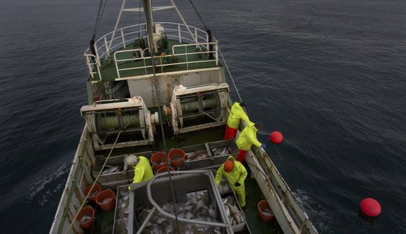 Fiskveiðifrumvarp á næstunni