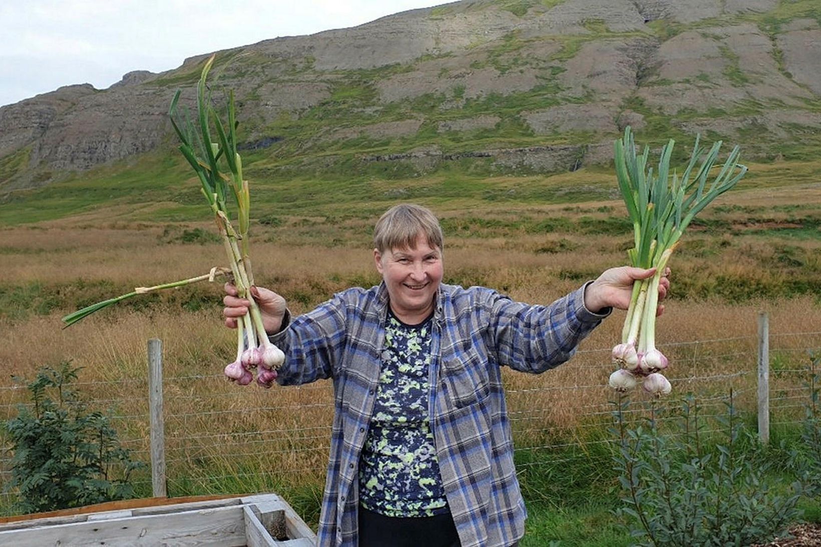 Þórunn Ólafsdóttir með hvítlauksuppskeru.