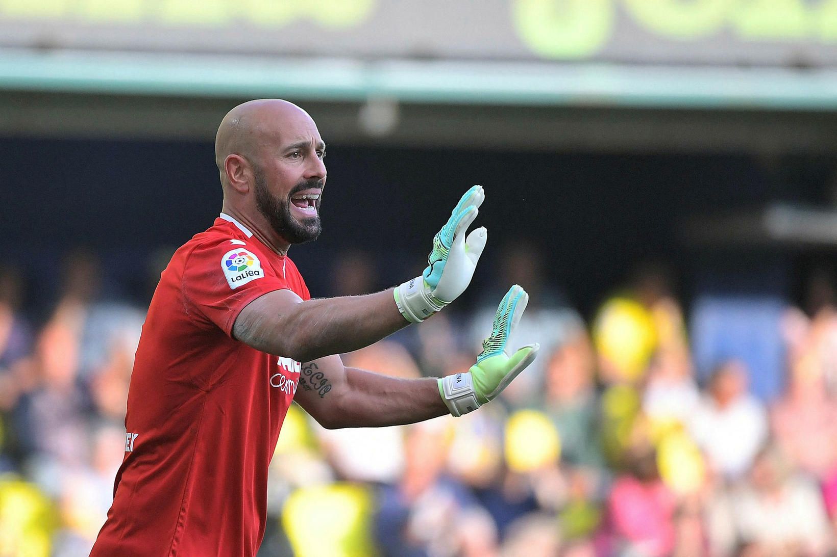 Pepe Reina leikur í það minnsta eitt tímabil enn.