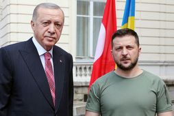 Erdogan og Selenskí í Lvív í Úkraínu í dag.