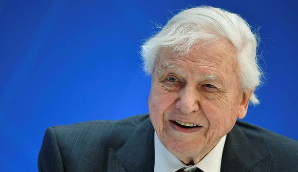 Attenborough styður skólaverkföllin