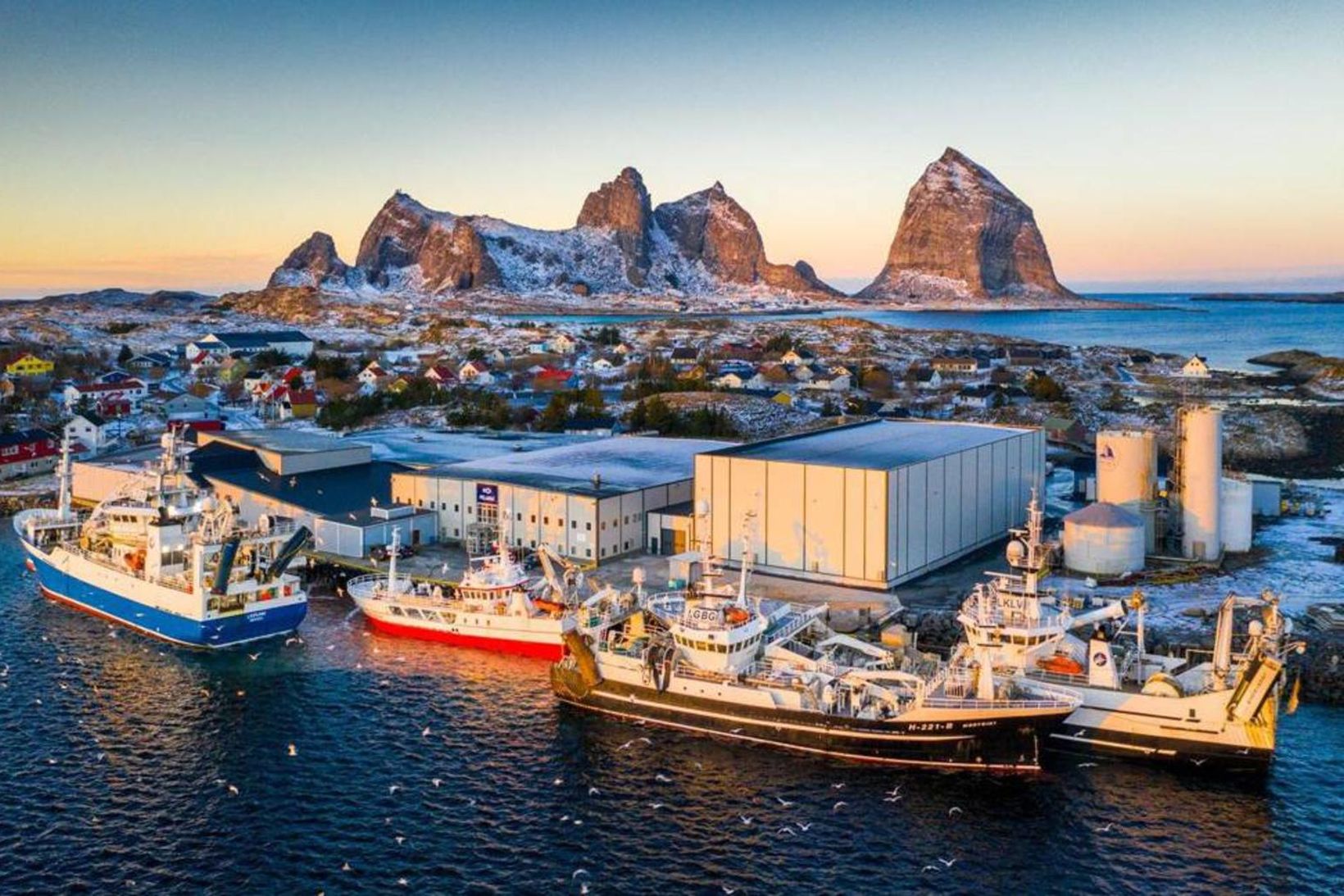 Hluti uppsjávarflota Pelagia bundinn við fiskvinnslu í Husøy sem er …