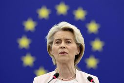 Ursula von der Leyen forseti framkvæmdastjórnar Evrópusambandsins. Aðildarríki sambandsins hafa keypt um hálfa milljón tonna …