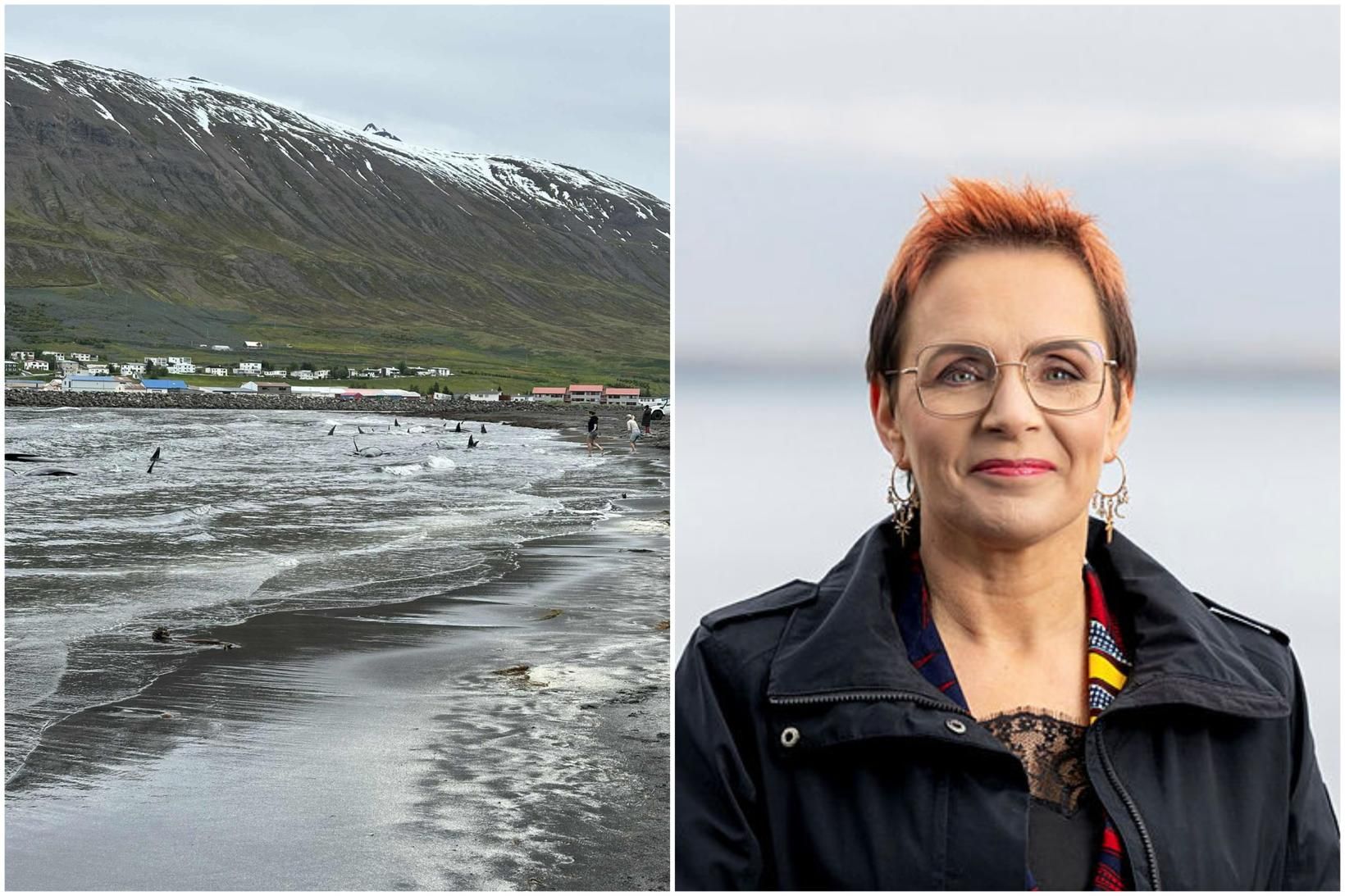 Bjarkey Olsen Gunnarsdóttir, fyrrverandi matvælaráðherra, varð vitni að björgunaraðgerðunum í …