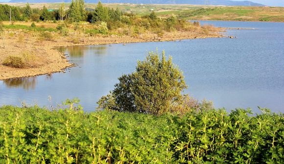 Hitabylgjur ekki alvarleg áþján hérlendis