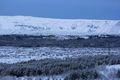 Jólalegt Greni í víðfeðmum skógi. Eftirsótt og nú verður að fylgjast með.