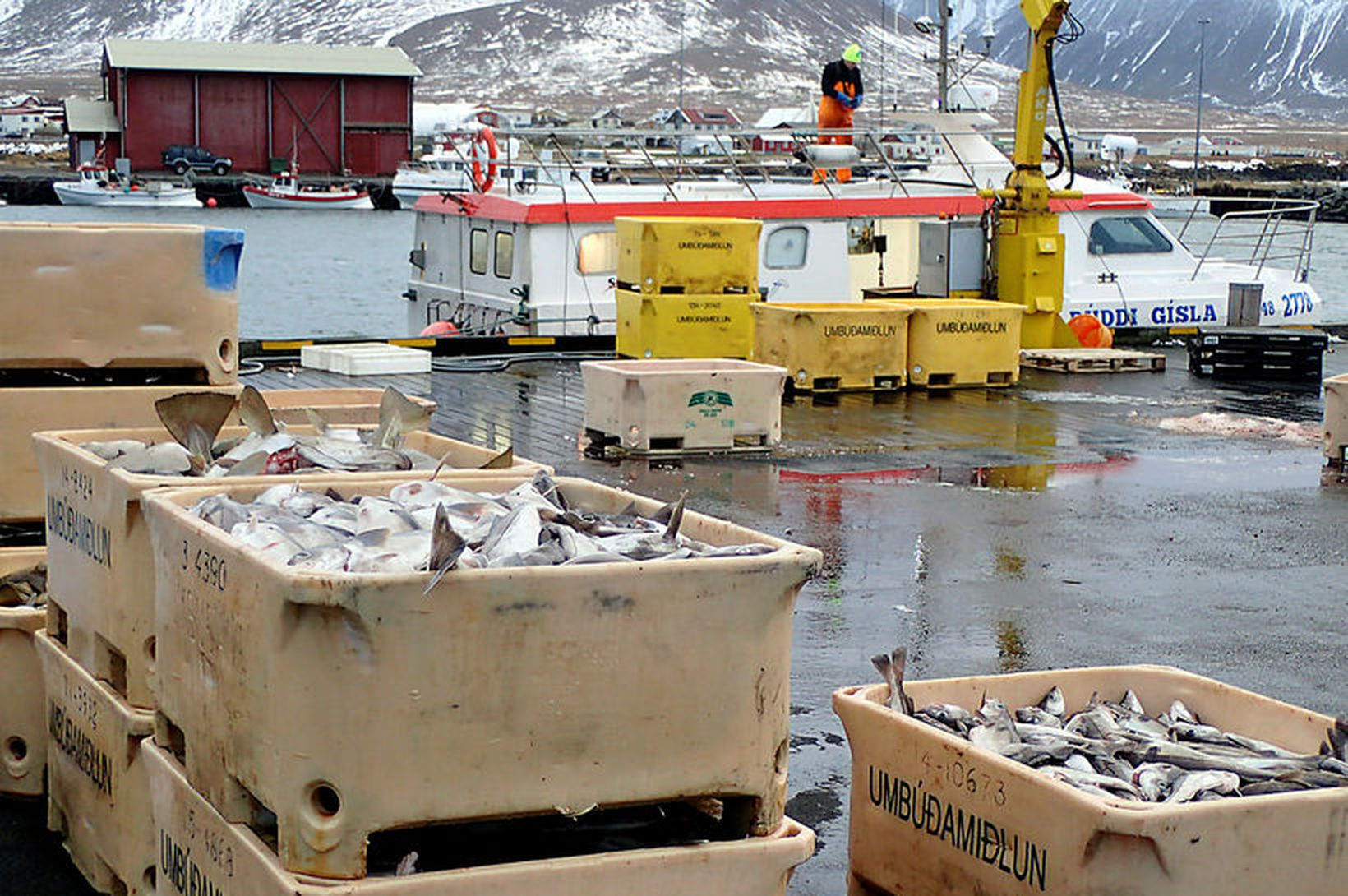 Ríkið fái 40 til 60 milljarða í veiðigjöld