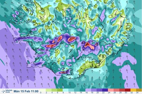 The wind forecast for 11 am tomorrow morning.