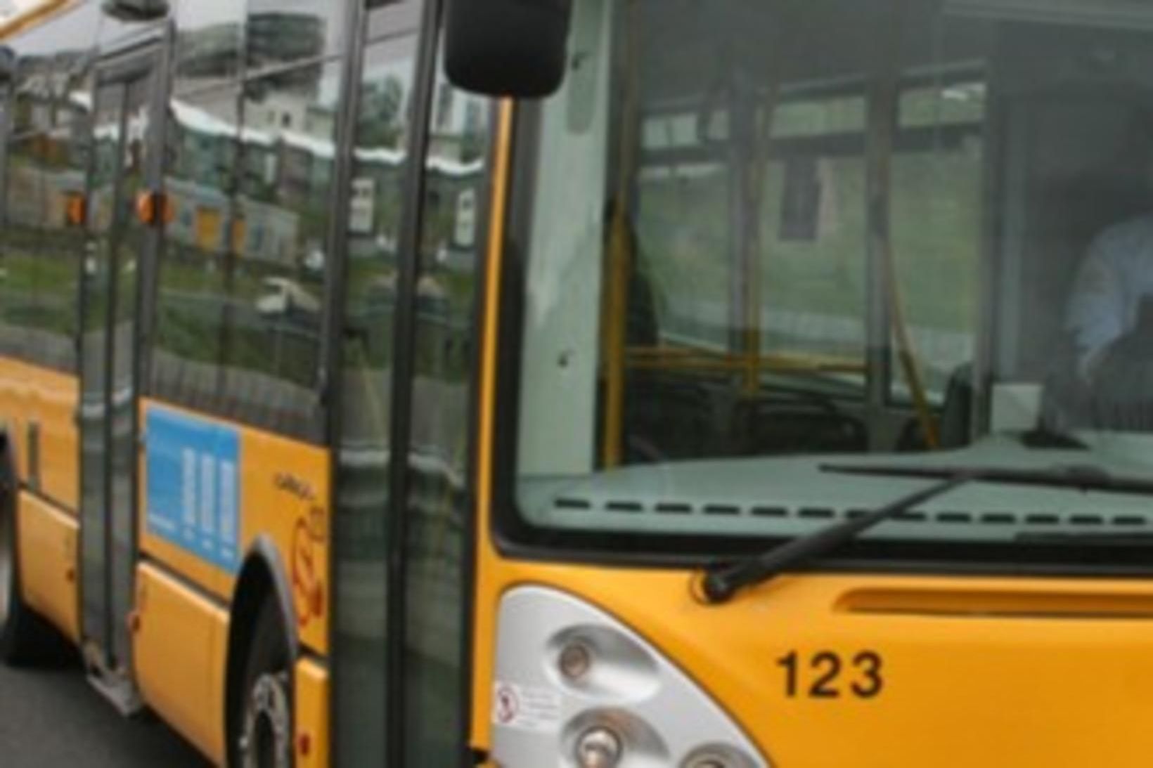 Ráðist á vagnstjóra og vagninum stolið