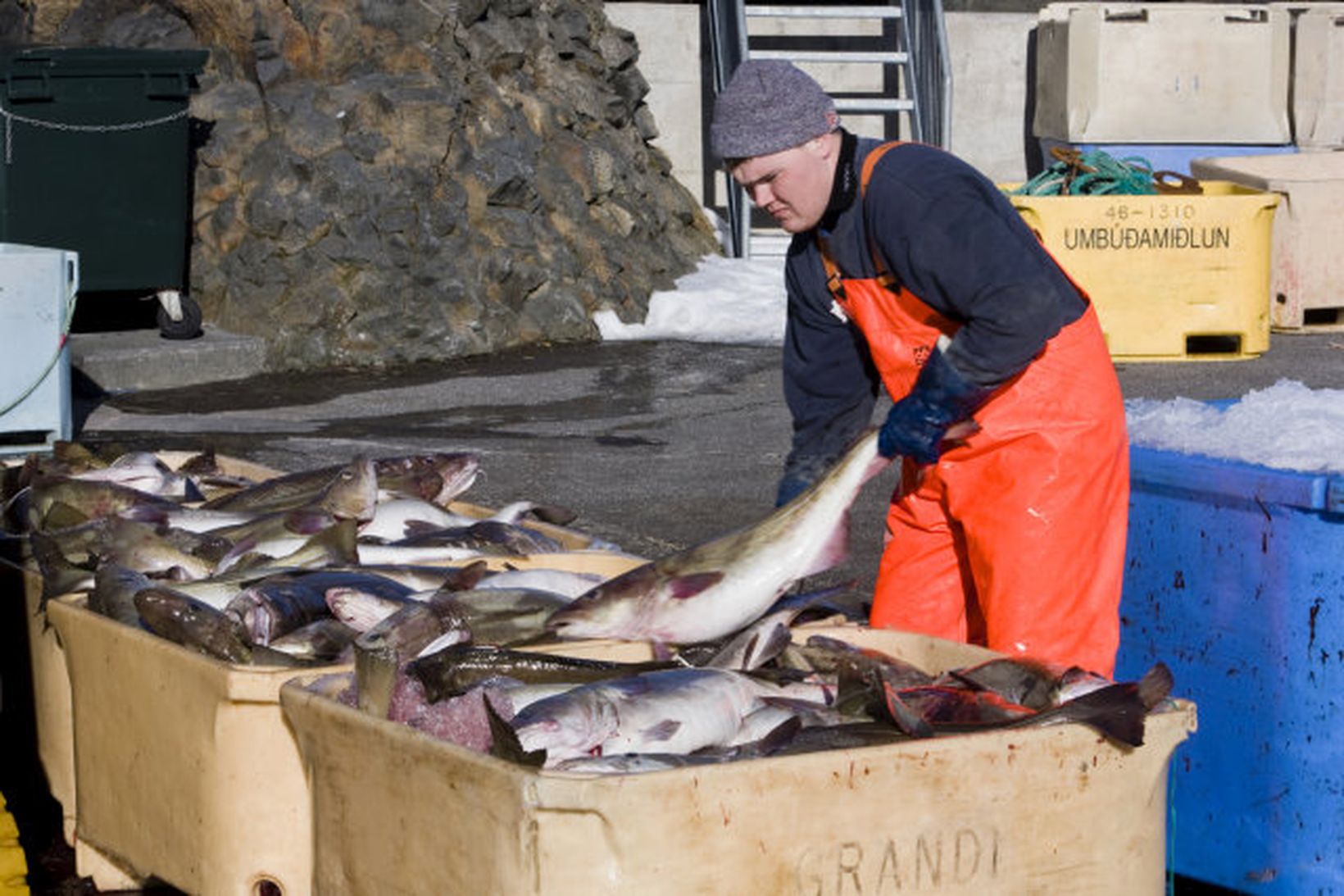 Pétur Pétursson landar úr Bárði.