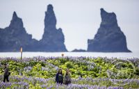 Erlendir ferðamenn við Víkurfjöru í Mýrdal