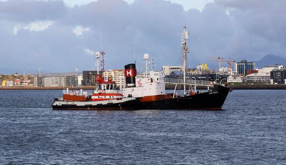 Skip Hvals hélt til leitar að langreyðum