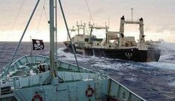 Nýsjálendingar styðja ekki hvalveiðitillögu