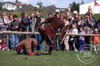 Alþjóðleg víkingahátíð