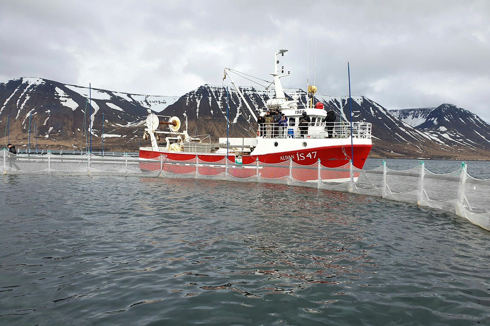 Arctic Fish setti út á breytt leyfi ÍS47