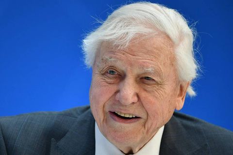 Sjónvarpsmaðurinn David Attenborough (f. 1926) er heimsfrægur fyrir náttúrulífs- og umhverfisþætti sína á breska ríkissjónvarpinu, …