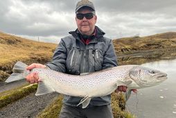 Guðmundur Birgisson með 91 sentímetra birting úr Tungulæk í morgun. Sá stærsti til þessa þar …