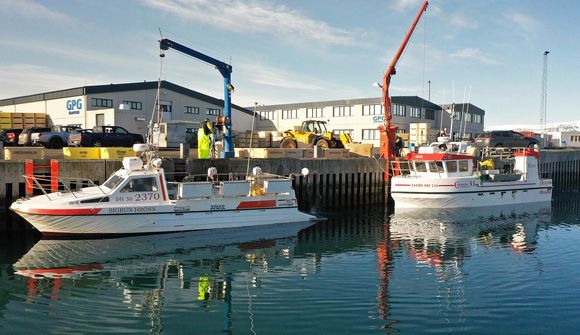 Um 20% af strandveiðiþorski kominn í land