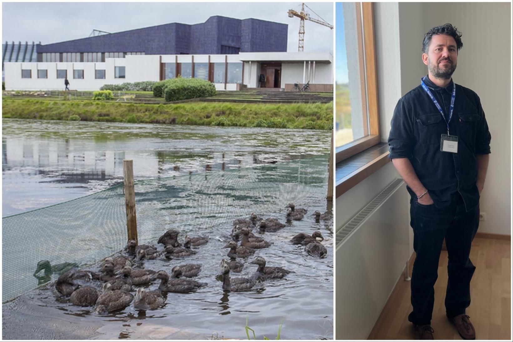 Menntaðar konur líklegri til að verða mæður
