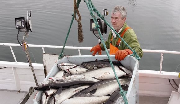 Veðrið hefur hamlað strandveiðunum
