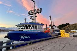 Litla útgerðin Kaia Fisheries í Alaska hefur ákveðið að segja skilið við ólympískar veiðar og …