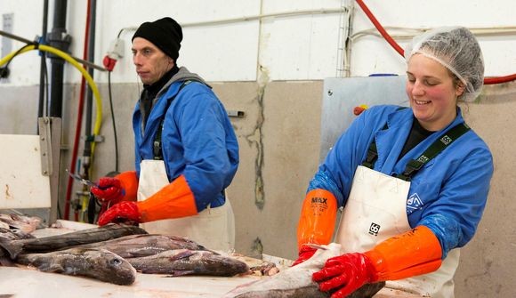 Yfir 40% verðhækkun á fjórum vikum