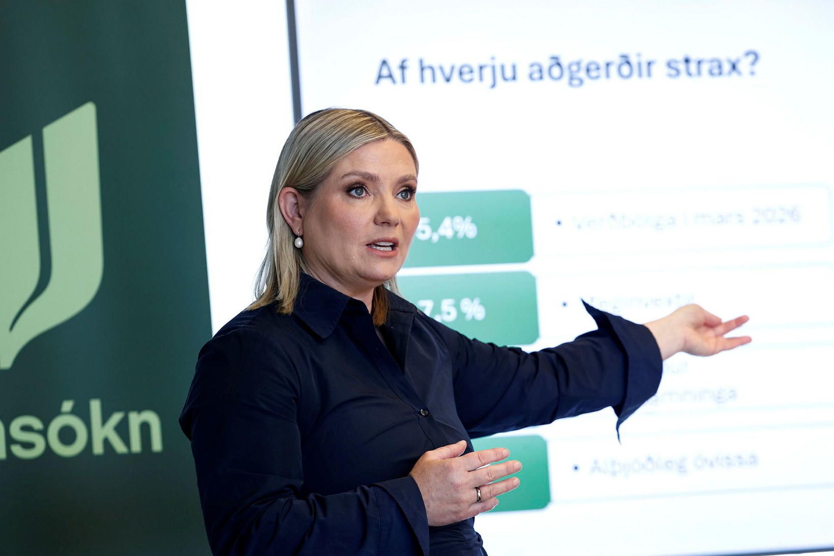 Evruskýrslan „segir bara hálfa sögu“