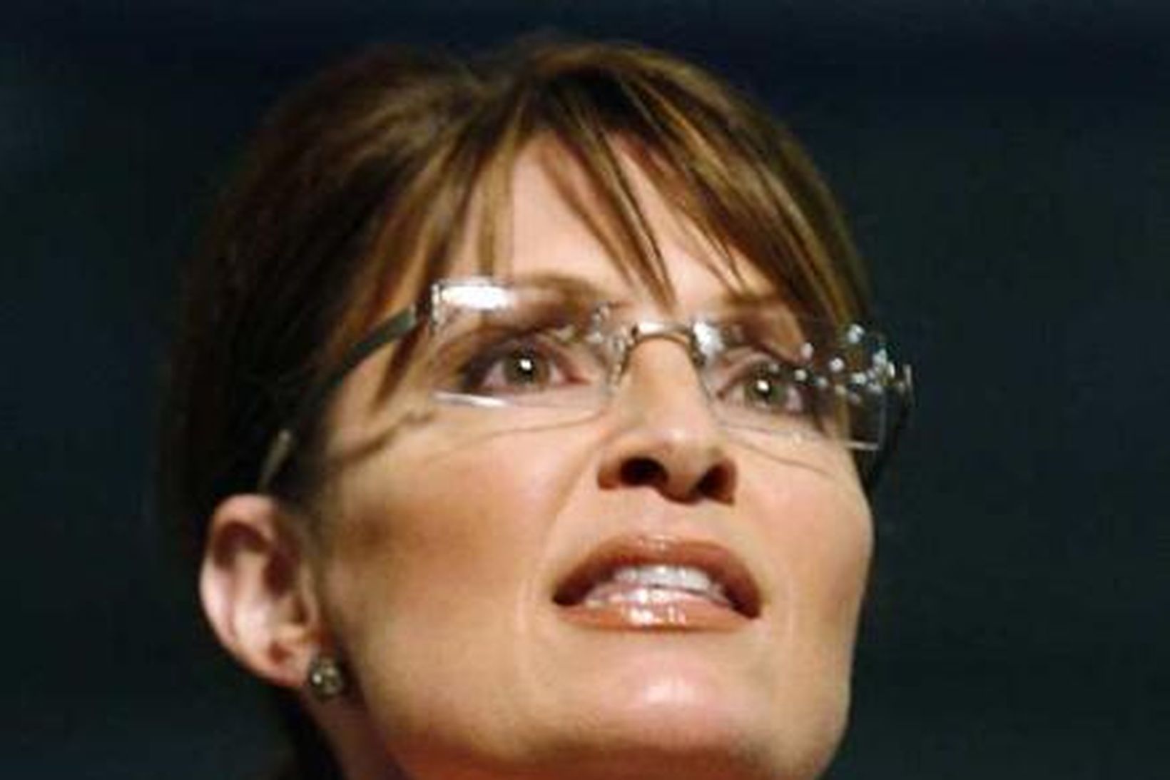 Sarah Palin