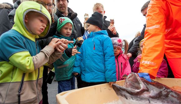 Fögnum helginni með sjómönnum og risaeðlum!