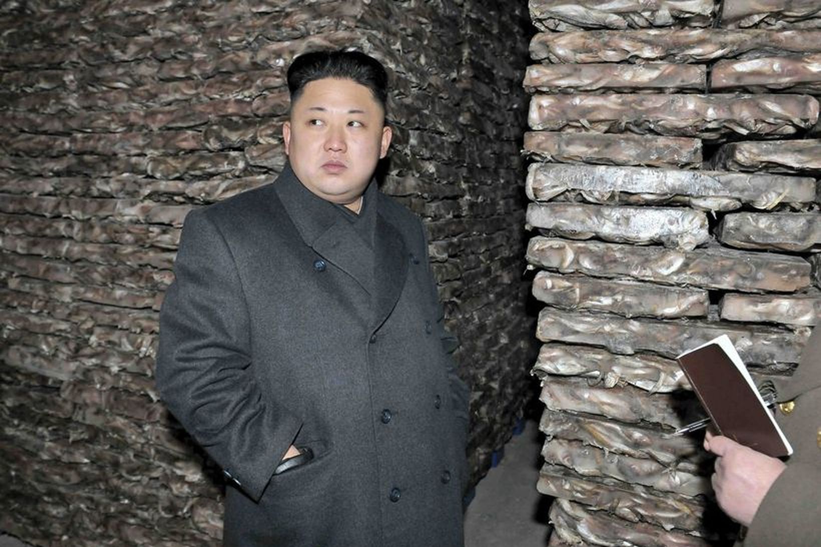 Kim Jong-Un, leiðtogi Norður-Kóreu hefur boðað til þingkosinga í landinu.