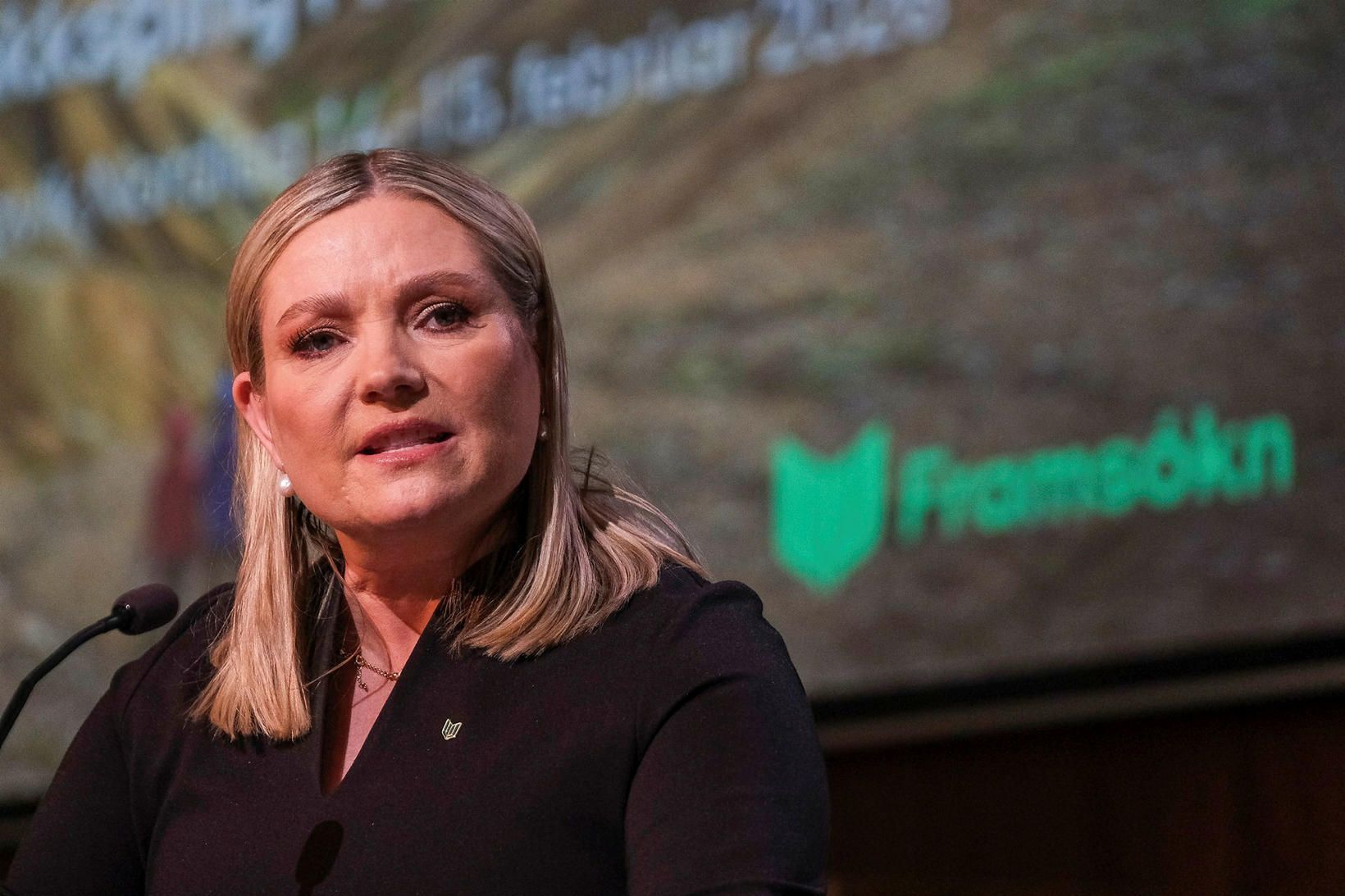 Efnahagsmálin meira áhyggjuefni en fylgistap