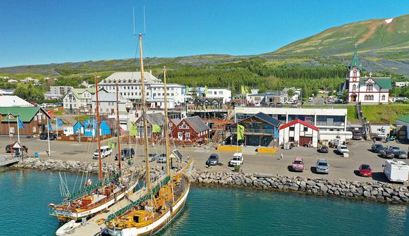 Himinlifandi í hvalaskoðun